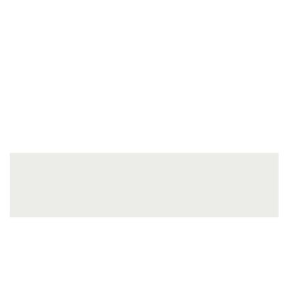 ABS ALB NETED 22/2 (KST D152/KR 110/EG W1000ST9) (PRO 804520)