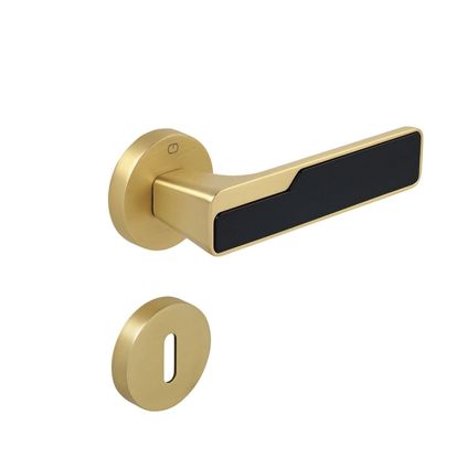 Maner de usa CEBI PRO auriu mat cu rozeta rotunda pentru cheie