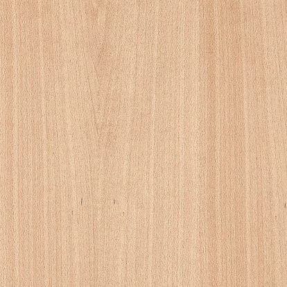 PAL furniruit fag 2800 x 2070 x 19 mm