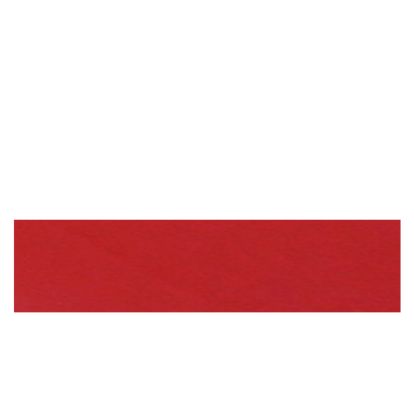 ABS (PVC) LUCIOS ROSU 22/1 (P106 / D117) RANDEX