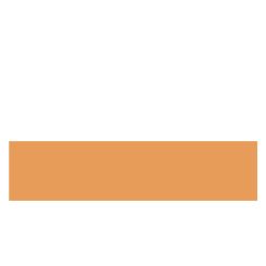 ABS ORANGE DESCHIS 23/2 (KR 551)