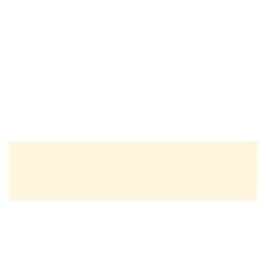 ABS LUCIOS BEJ DESCHIS 22/1.3 (F.MAX 0851SG/KST D118/KR 514GL) (PRO 808370)