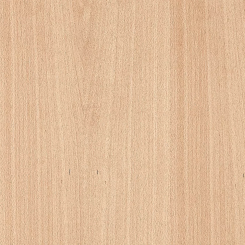 PAL furniruit fag 2800 x 2070 x 19 mm