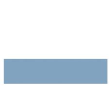 ABS BLEU SPECIAL 42/2 (KR 121) (PRO 801780)